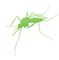 International Society for Neglected Tropical Diseases