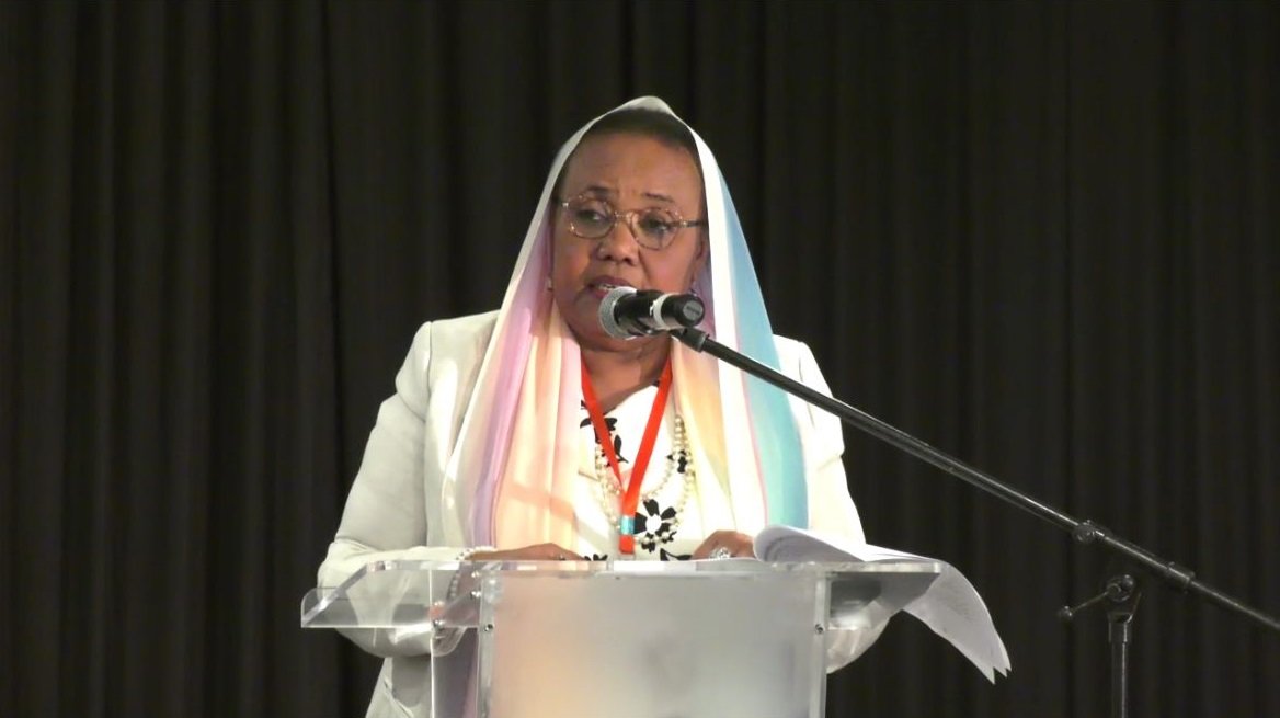 Dr Loub Yakout Zaidou speaks at a lectern